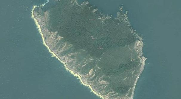 小龙山岛,中国唯一的蛇岛,一直以来都被人们所惧怕.