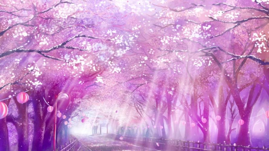 紫色梦幻阳光樱花树花瓣飘落浪漫背景视频