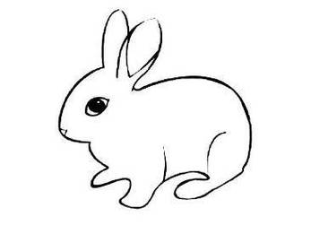 兔子简笔画 兔子简笔画 儿童简笔画