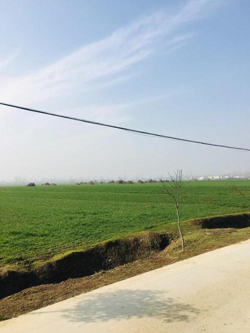 河南新蔡县农村风景实拍,道路,民居和农田