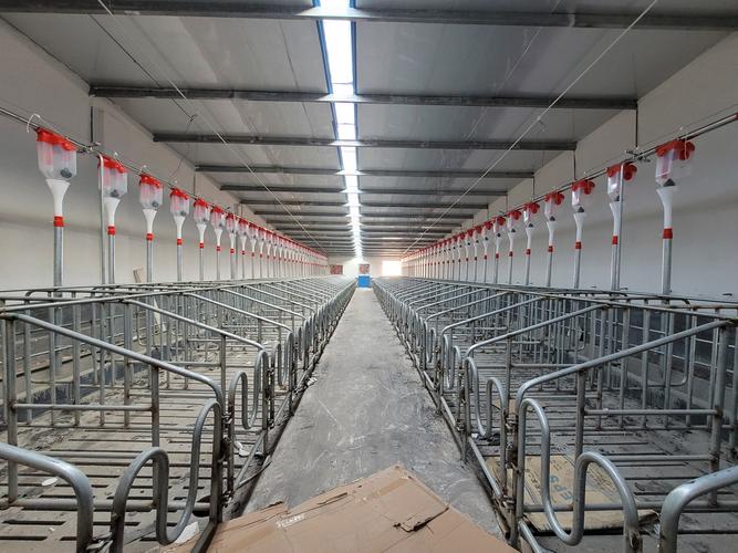 装备先进的西华县恒瑞牧业有限公司5000头母猪的现代化养猪场
