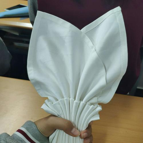 餐巾折花的样子大概有10种,折叠的方法也有的简单有的困难.