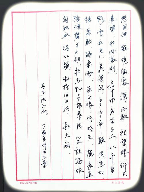 岳飞满江红手写钢笔字笔友钢笔书法习作欣赏