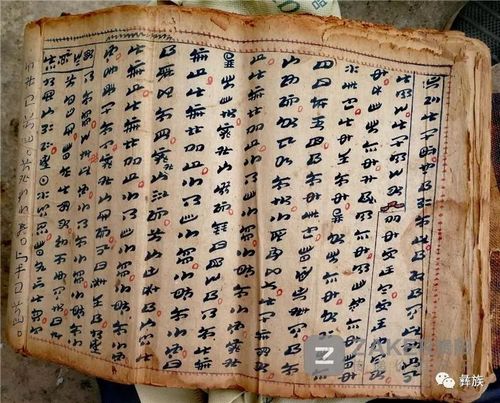 勒佛 ……" 打开这些祖传的彝文古籍,村民康文学用汉语翻译着部分内容