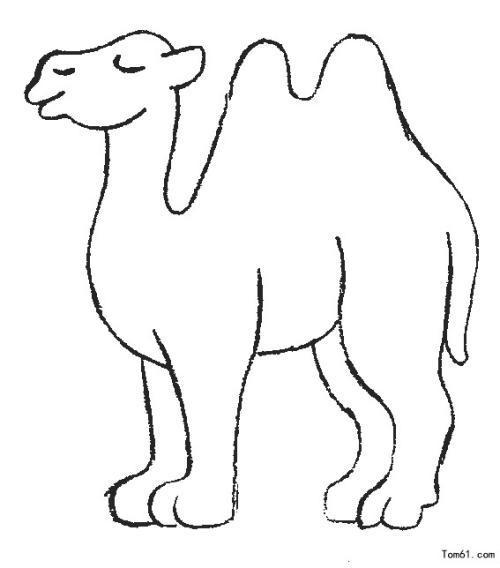 简笔画骆驼的画法