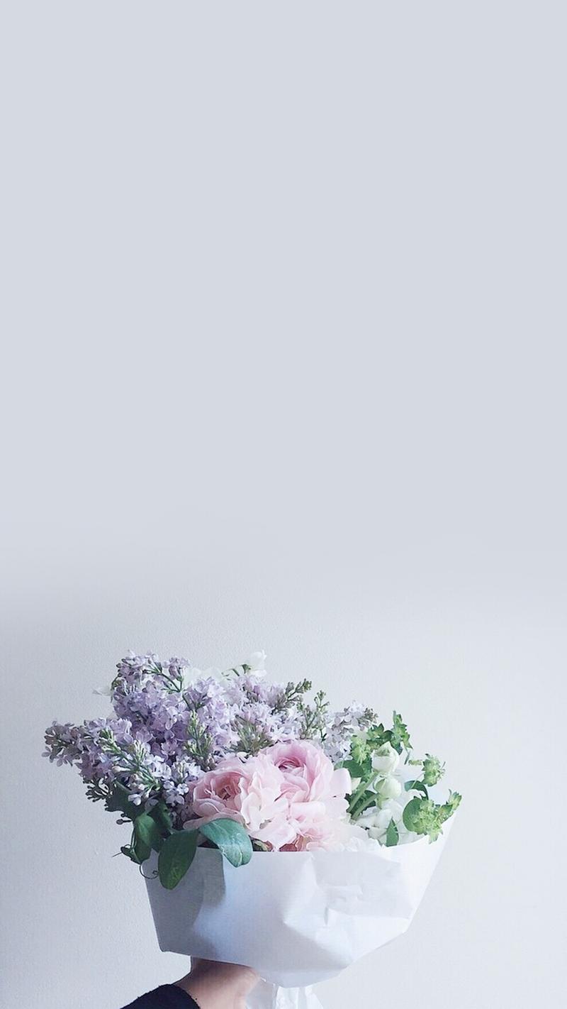 简洁盆栽花卉高清手机壁纸
