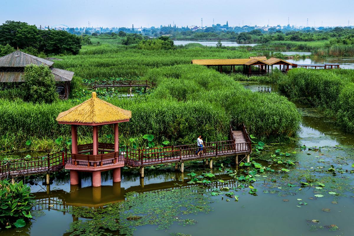 溱湖国家湿地公园,坐落于江苏中部,被誉为国家5a级旅游景区,是省内