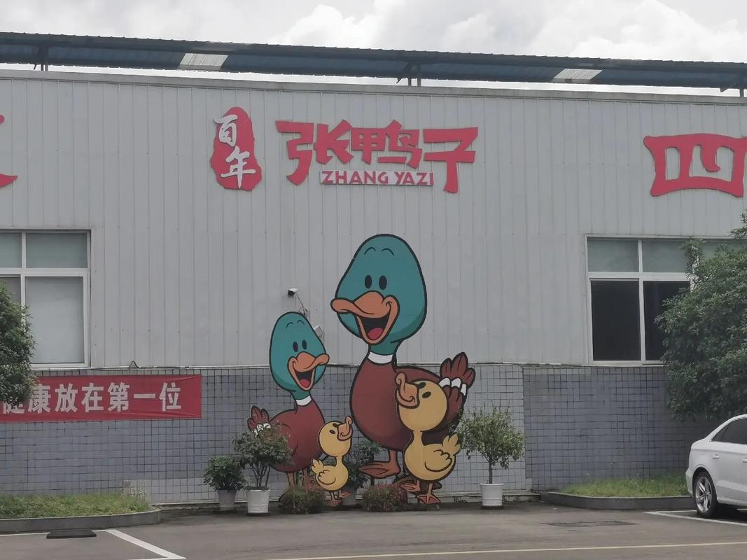 重庆张鸭子食品有限公司工厂欢迎您!#卤味熟食 #喜欢就关注我 - 抖音