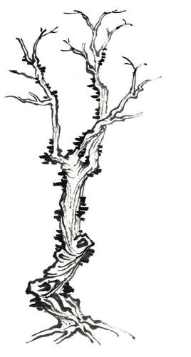 (中英双语)一起学书画:国画山水画中的树分四枝