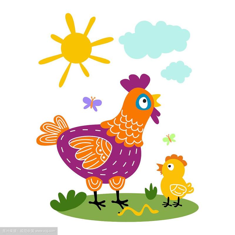 有趣的卡通色彩的母鸡和小鸡孤立