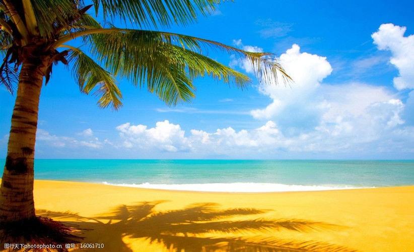 夏日沙滩椰树图片