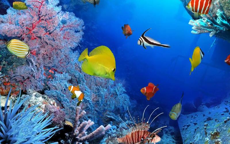 k3502 2k画质唯美蓝色海底海洋动物世界鱼群珊瑚水草led视频背景酒吧
