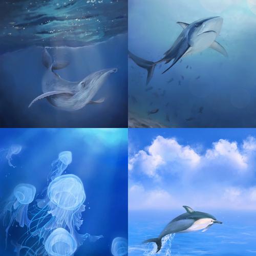 海洋生物系列插画|四张