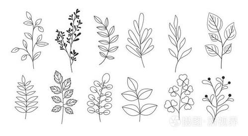 向量插图集的树枝, 树叶, 树枝, 花园草的线条风格的花卉图案, 花束和