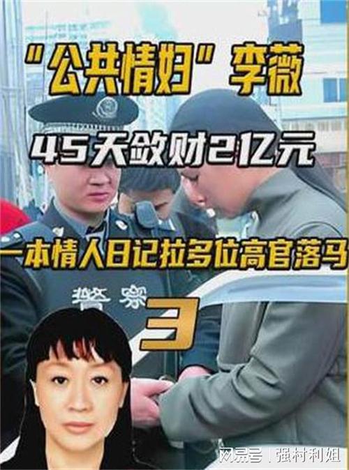 2006年女富商李薇被捕她的一本手写日记让多位高官落马
