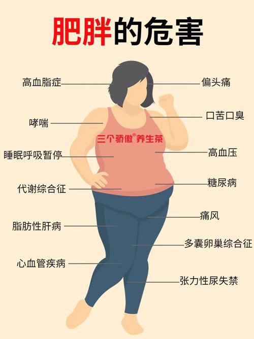 肥胖原因自查表占两项难怪不瘦肥胖危害
