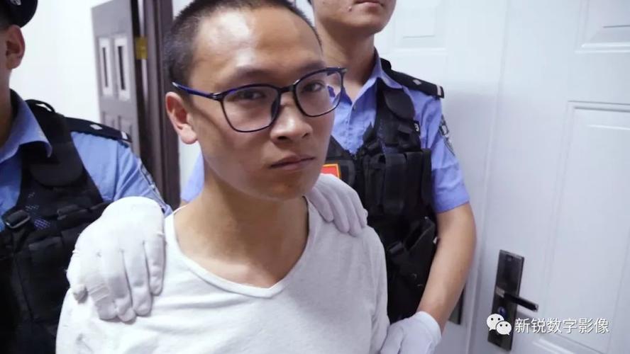 无期徒刑大理非法放贷暴力追讨的杨东升杨东宏恶势力团伙受审视频曝光