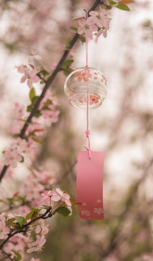 樱花树下的风铃,高清图片 - ipad壁纸