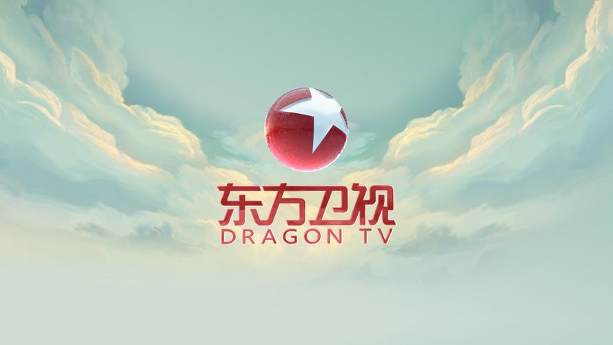 根据东方卫视的官网介绍,这个频道是属于上海广播电视台的,也是上海
