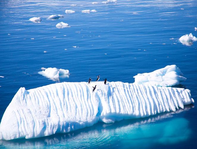 行走南美六国,巡游南极半岛 第12集 穿越德瑞克进入南极洲