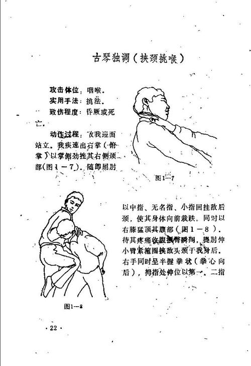 【转载】中国传统擒拿36式 - 夜明珠1972的日志 - 网易博客