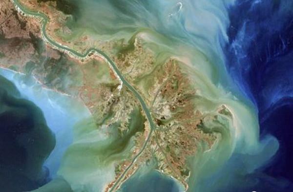 洪水带来有害藻类!墨西哥湾现2万平方公里死亡带