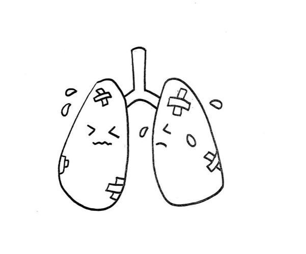 画肺-图2如何画肺-图1简笔画作品完成图人类的肺部简笔画爱护肺简笔画