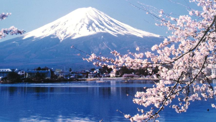 日本看樱花之旅