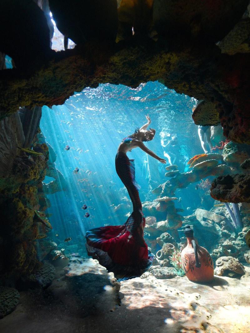 海底世界的美人鱼怎么呼吸?揭秘水下呼吸的秘密