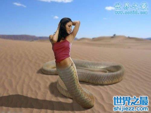 最真实的美女蛇图片,人头蛇身美人蛇(真相吓人) - 世界之最