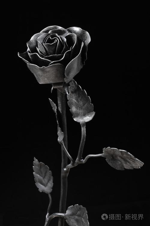 黑色锻造铁玫瑰照片-正版商用图片1hdw66-摄图新视界