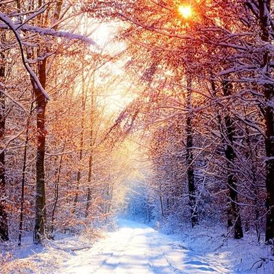 唯美雪景头像美丽的冬季风光雪景做头像真是不错的