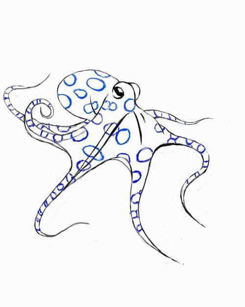 章鱼卡通图片简笔画章鱼的简笔画简笔画 章鱼怎么画可爱的章鱼儿童画