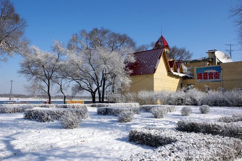 图片大全 城市旅游 哈尔滨冬天风景图片 > 哈尔滨冬天风景图片 第7张