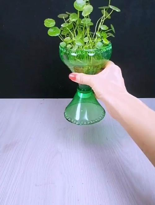 饮料瓶改造简易花瓶