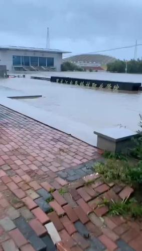 哈尔滨宾西大学城台风过后的样子