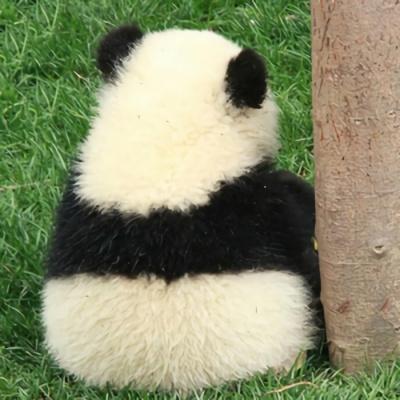 各种姿态的蠢萌搞笑熊猫微信头像_动物头像_美头网