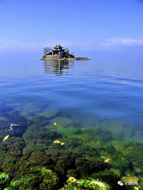 大理州推动洱海高水平保护