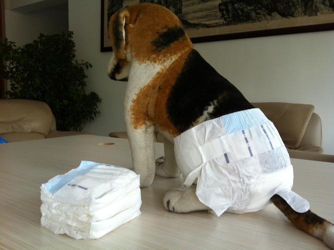 宠物纸尿裤厂家直销dono狗狗尿布拉拉裤一次性狗狗尿不湿清洁用品