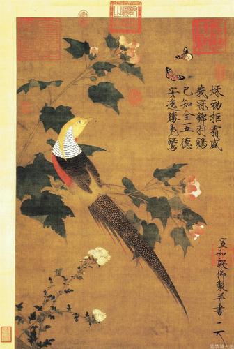 中国古代绘画中的白腹锦鸡 [宋 赵佶 芙蓉锦鸡图]