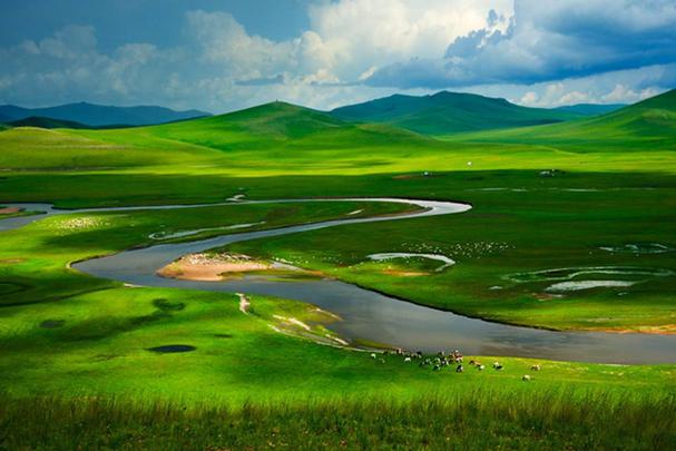 呼伦贝尔大草原在内蒙古哪座城市?
