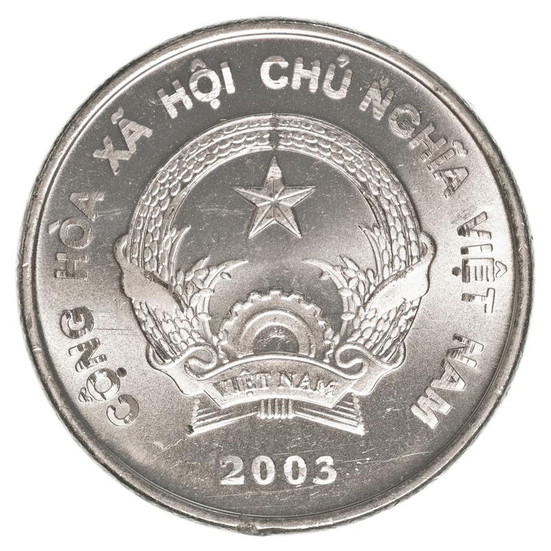 越南盾硬币,孤立的白色背景上的越南盾硬币