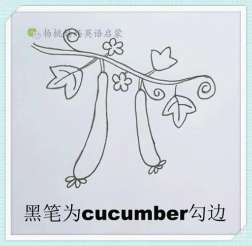 英语萌萌画cucumber黄瓜