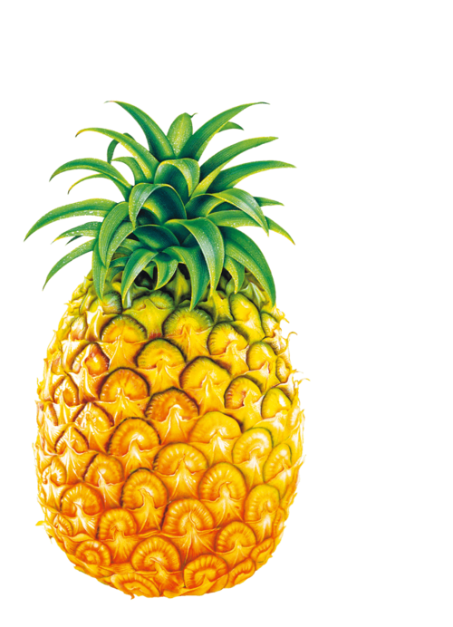 一颗水果菠萝png图片素材