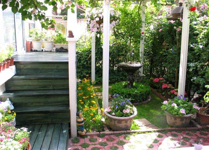 庭院绿化效果图别墅庭院绿化设计有铁艺拱门小院花篱