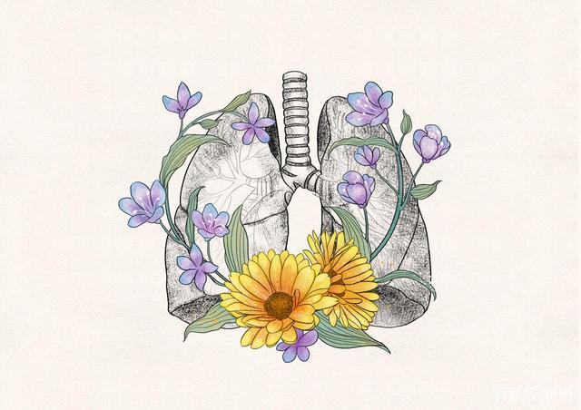 插画分享 | 花卉与人体器官的结合!医疗图也变得温馨了