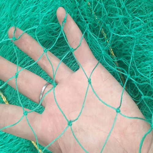 厂家供应尼龙塑料编织养殖网 养鸡网 绿色绳网 尼龙网 塑料网