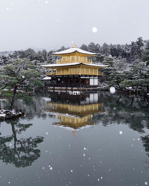 带你看日本 | 7015雪景中的金阁寺