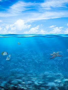 蓝天白云风景海面海底鱼类背景素材(2200x2900)psdpng海底世界浪漫