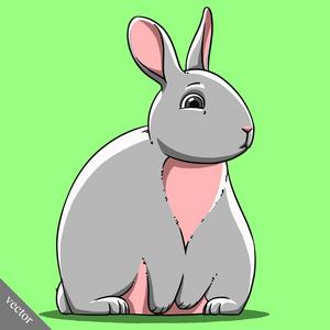 灰色垂耳兔漫画图片